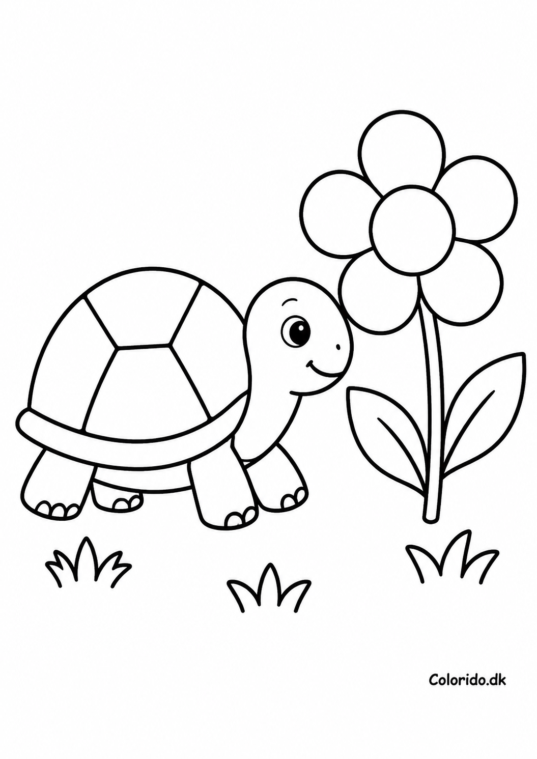 Skildpadde ved en stor blomst – dyretegning for små børn