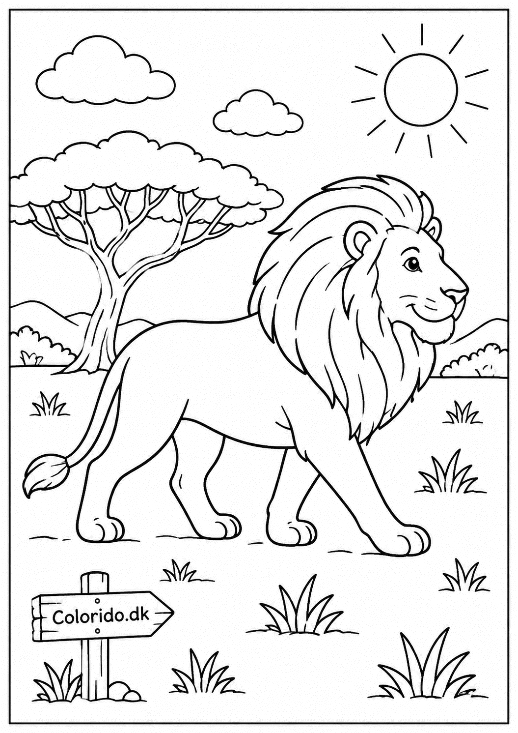 Vandrende løve på savannen – tegning af løve