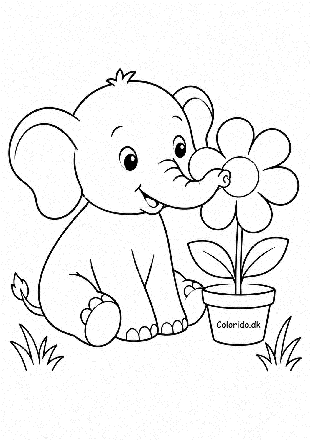 Elefant dufter til en blomst – nem tegning til print