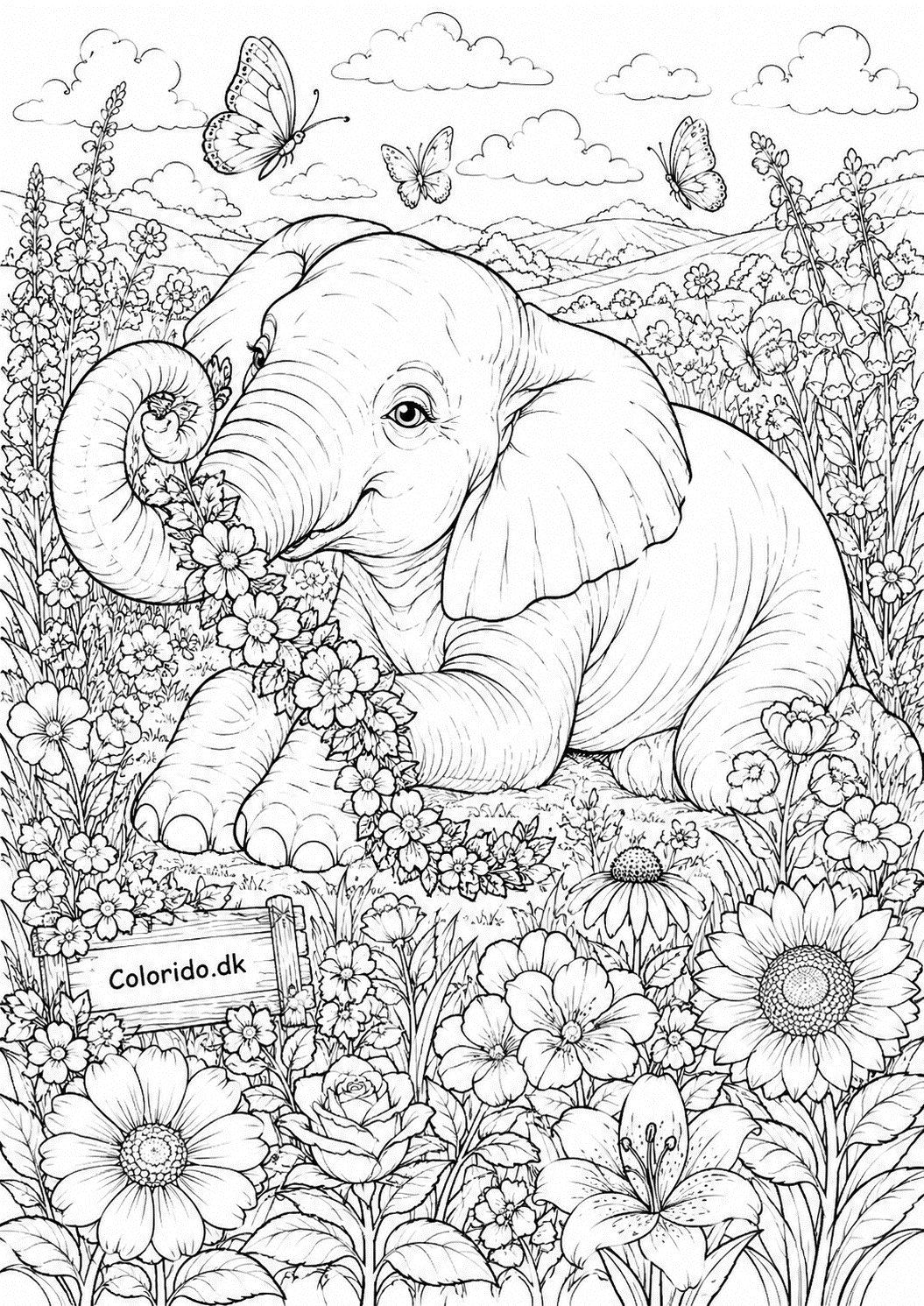 Elefant i blomstereng med sommerfugle – svær farvelægning