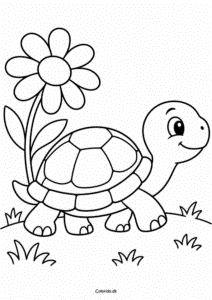 Glad skildpadde ved en stor blomst – tegning til farvelægning