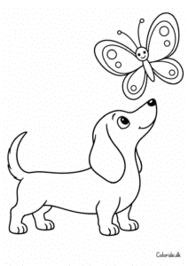 Lille gravhund med sommerfugl – hundetegning til print