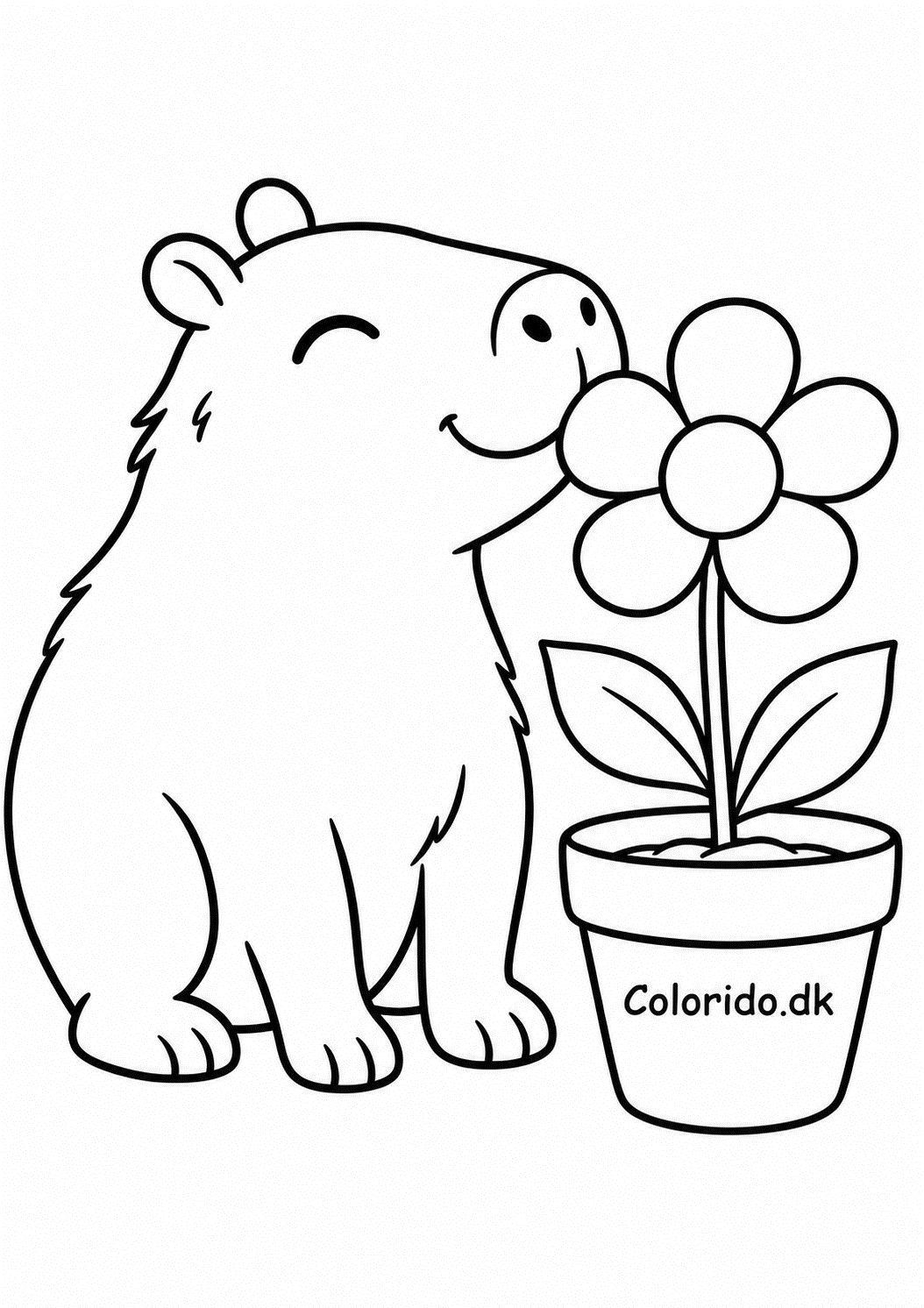 Capybara dufter til en blomst – tegning til farvelægning