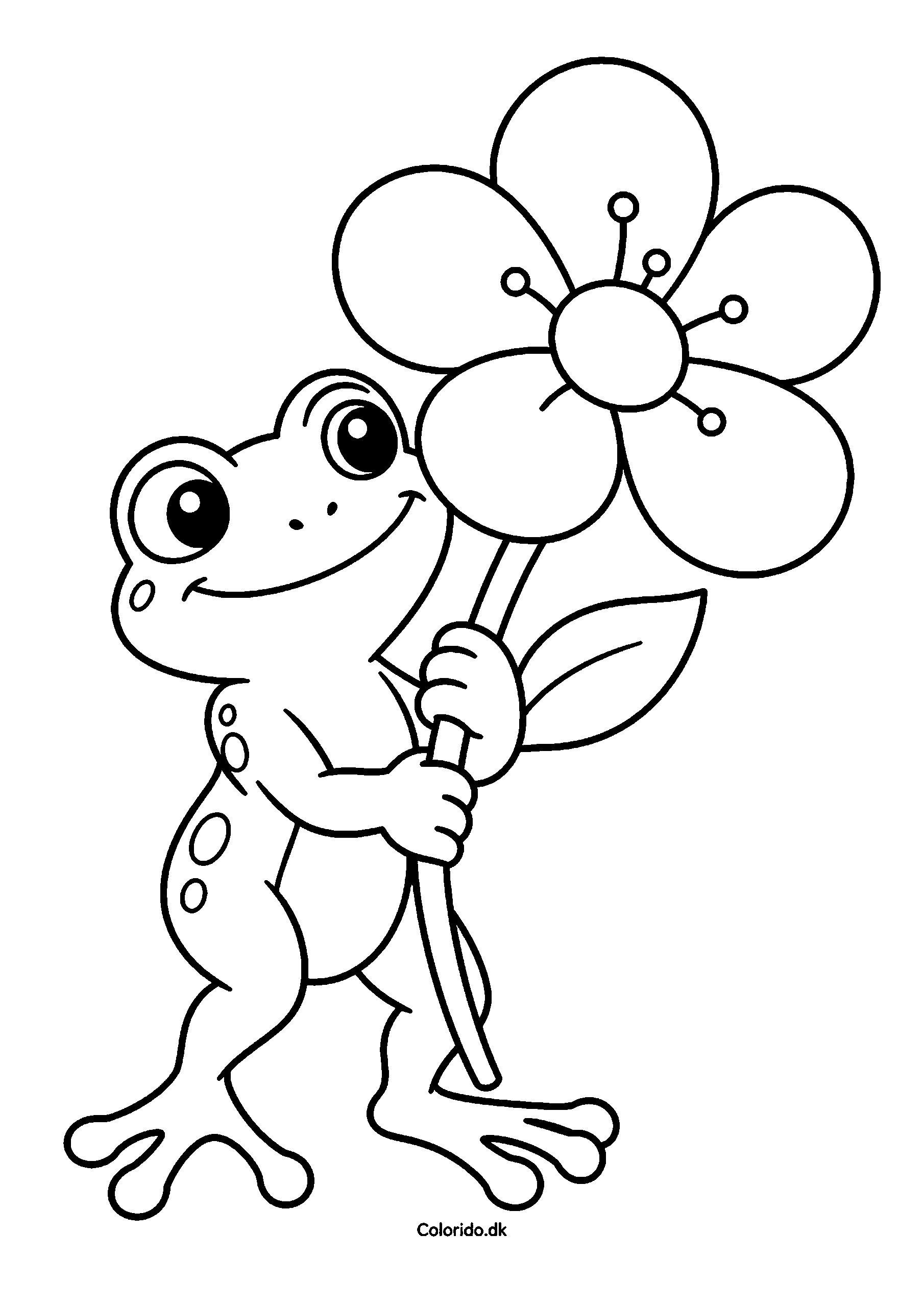 Frø med en stor blomst – tegning for små børn