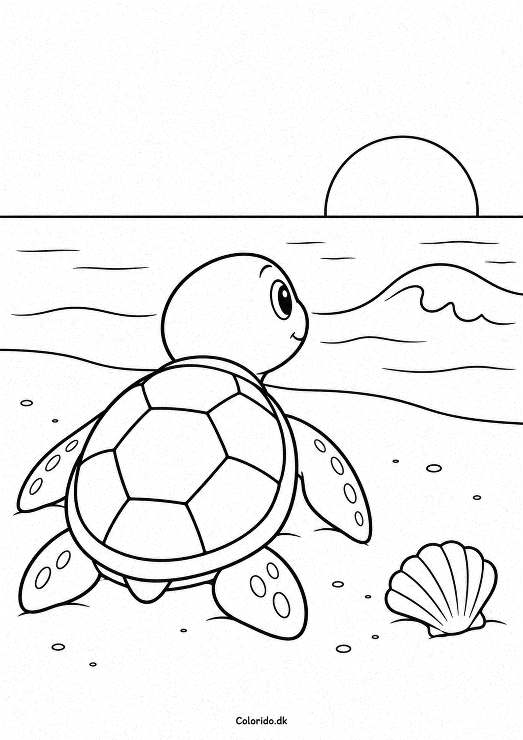 Skildpadde på stranden – nem tegning til print