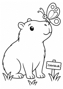 Capybara med sommerfugl på næsen – nem malebogstegning