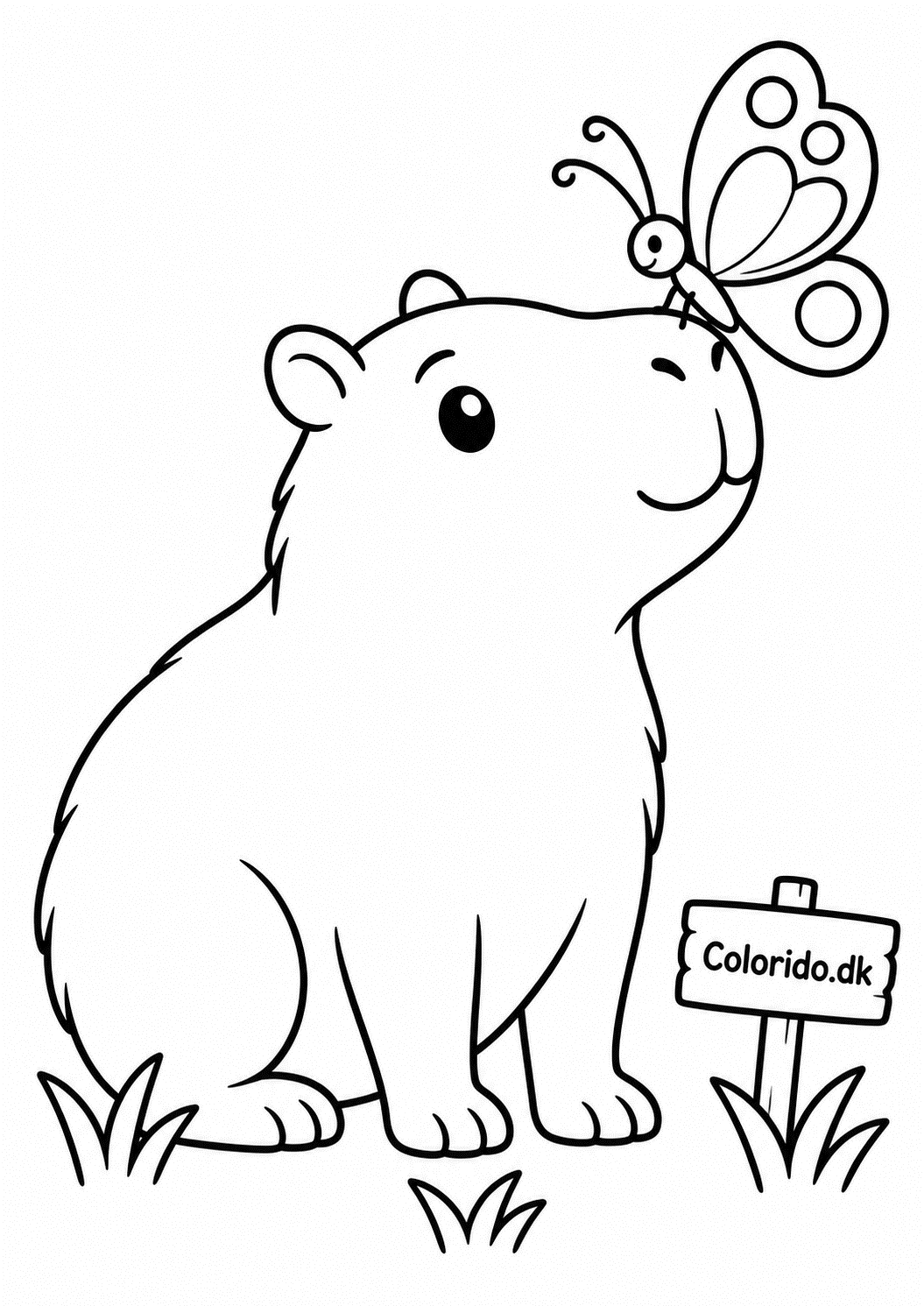 Capybara med sommerfugl på næsen – nem malebogstegning