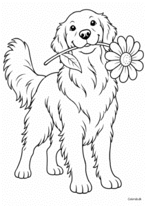 Golden retriever med blomst – gratis hundetegning