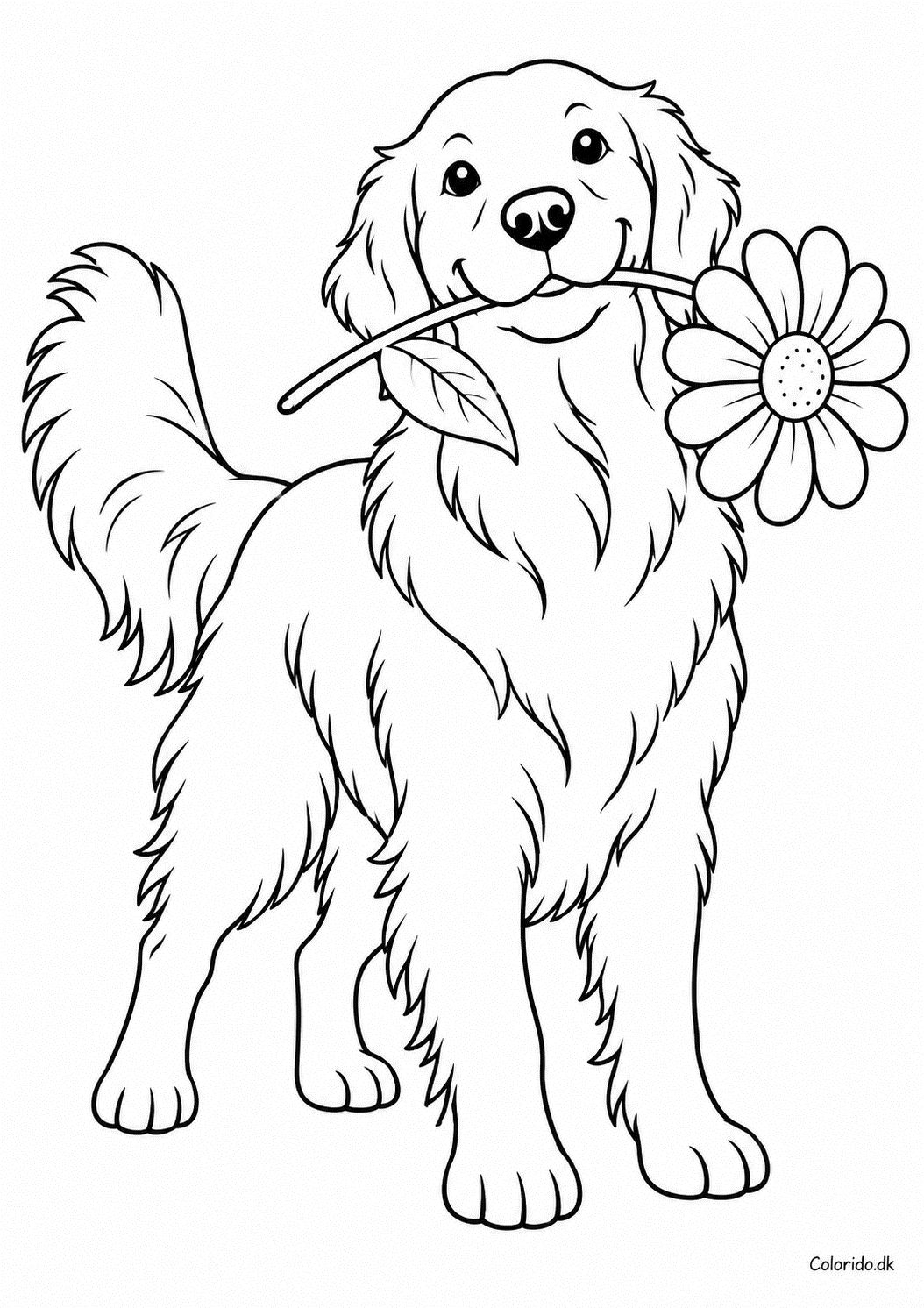 Golden retriever med blomst – gratis hundetegning