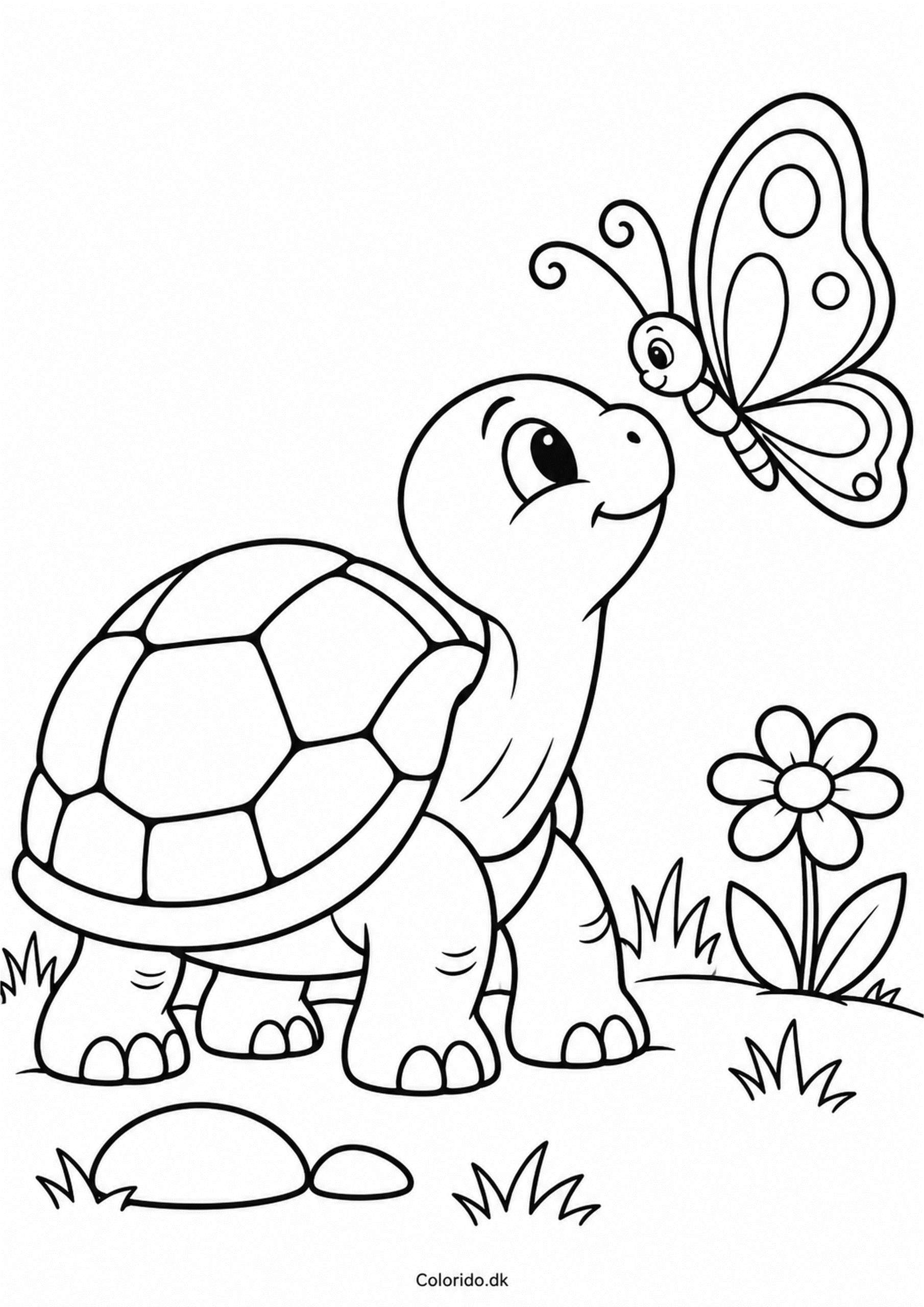 Skildpadde og sommerfugl – tegning til print