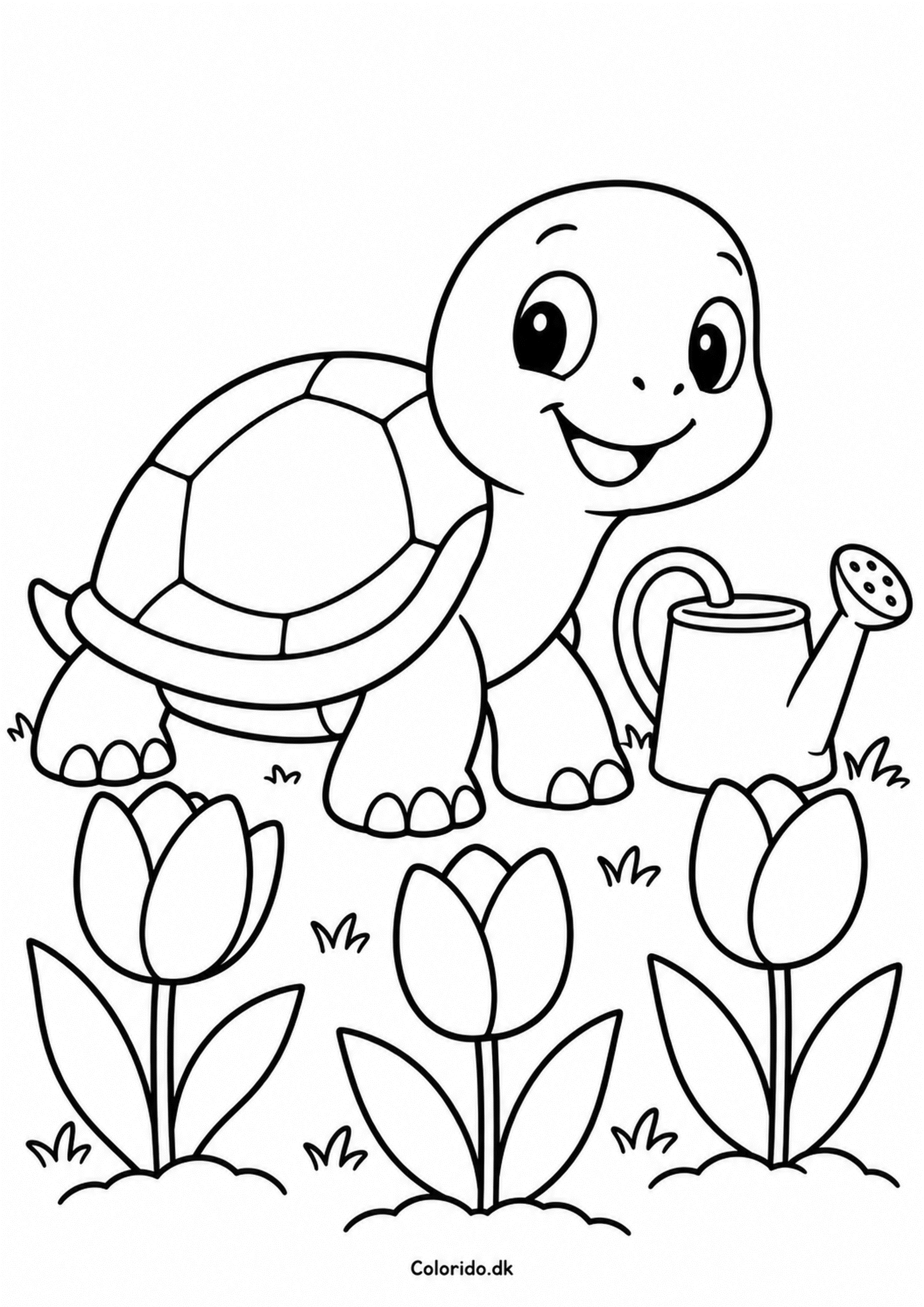 Lille skildpadde i haven – tegning til print