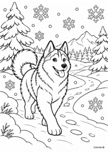 Husky på sneklædt sti – vintertegning til farvelægning