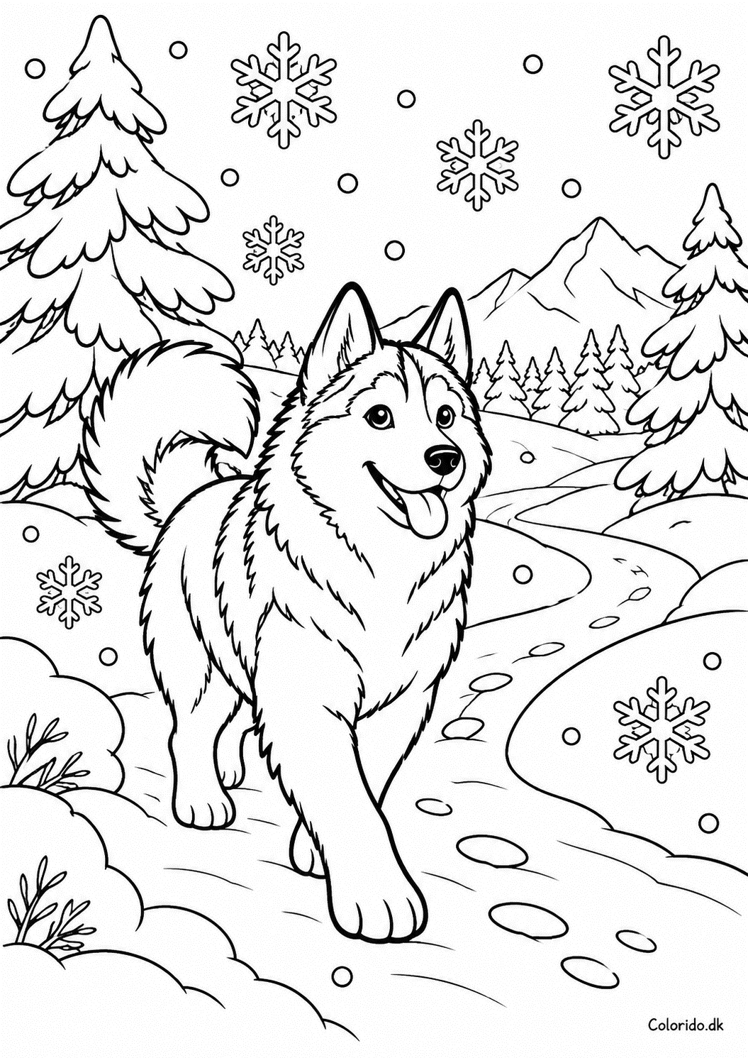 Husky på sneklædt sti – vintertegning til farvelægning