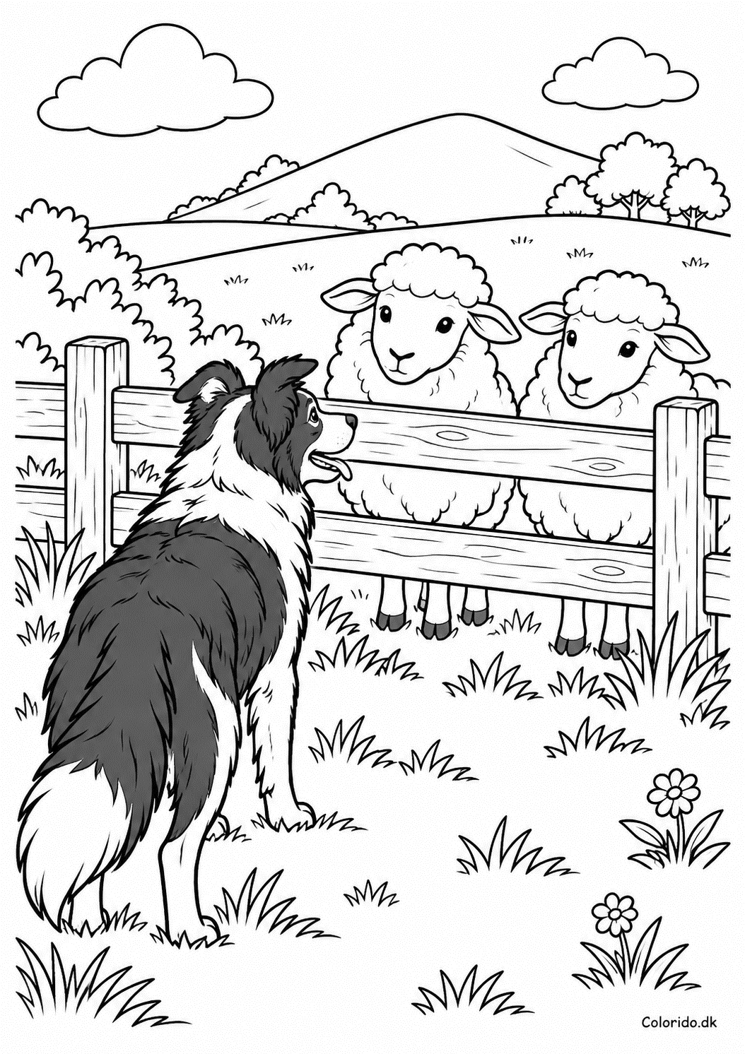 Border collie ved fårefolden – hundetegning til print