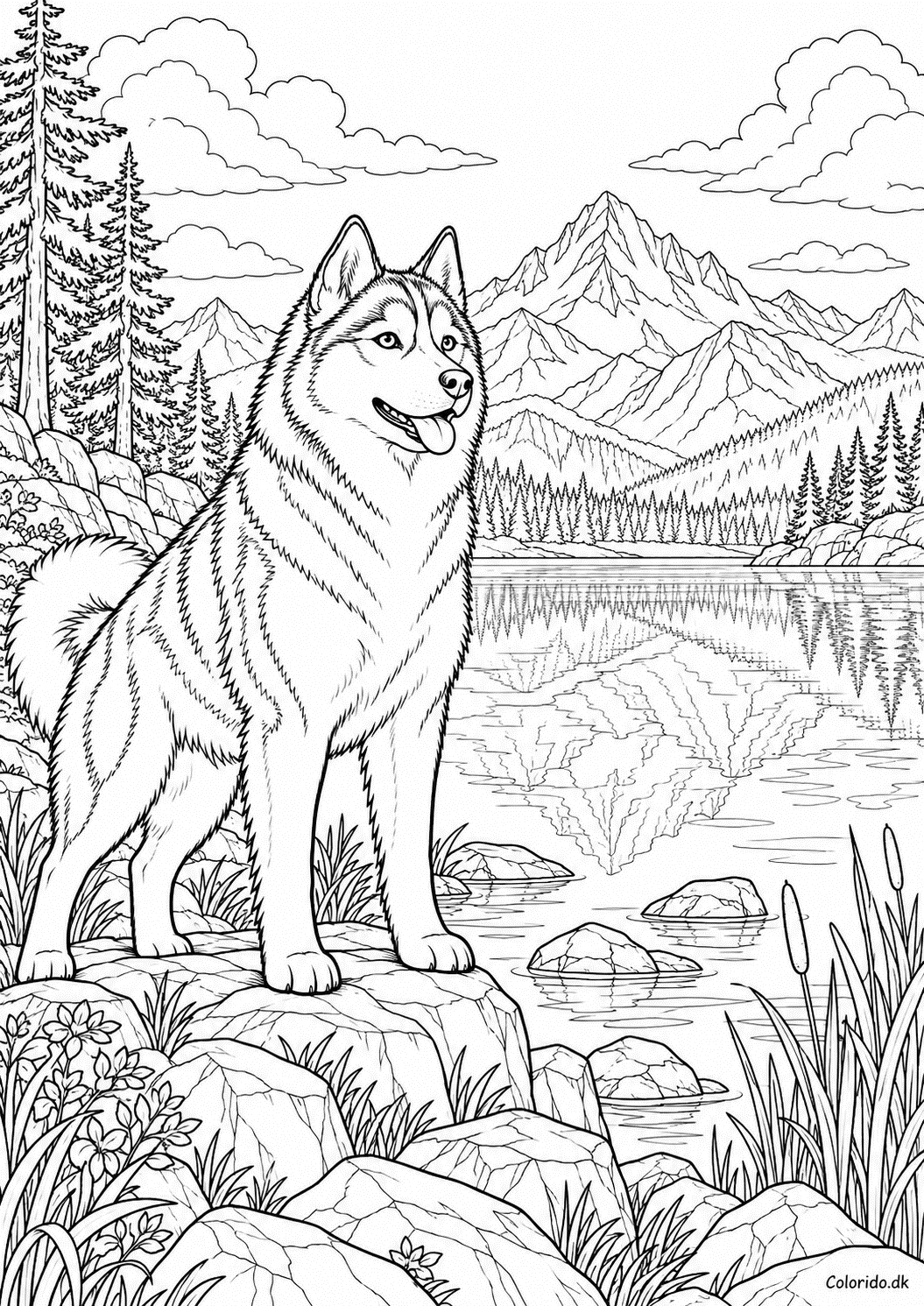 Husky ved bjergsøen – detaljeret hundetegning