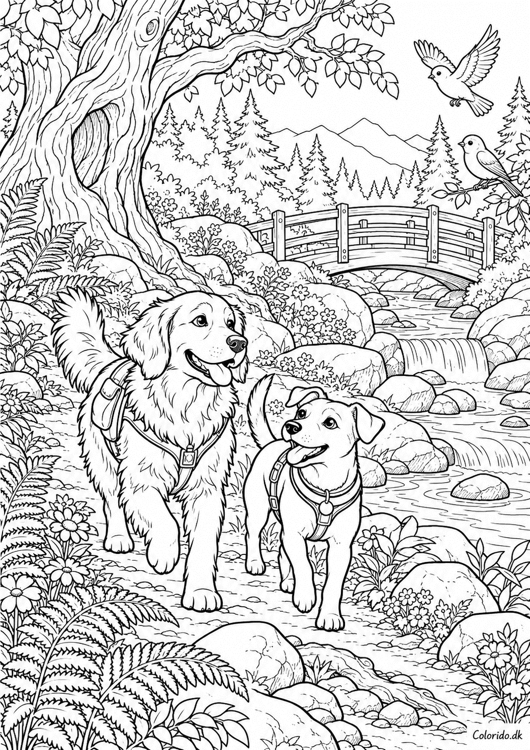 Hunde på skovens eventyrsti – gratis tegning til print
