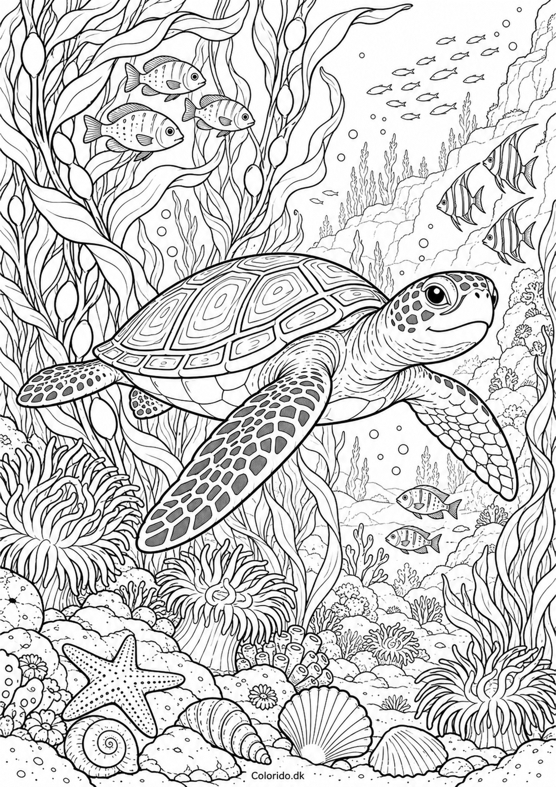 Havskildpadde i tangskoven – detaljeret tegning