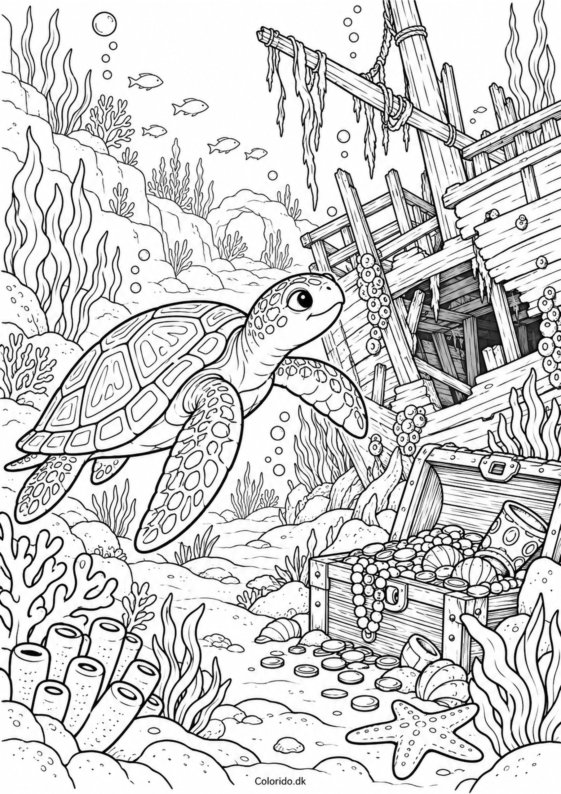 Havskildpadde ved skibsvrag – tegning til print