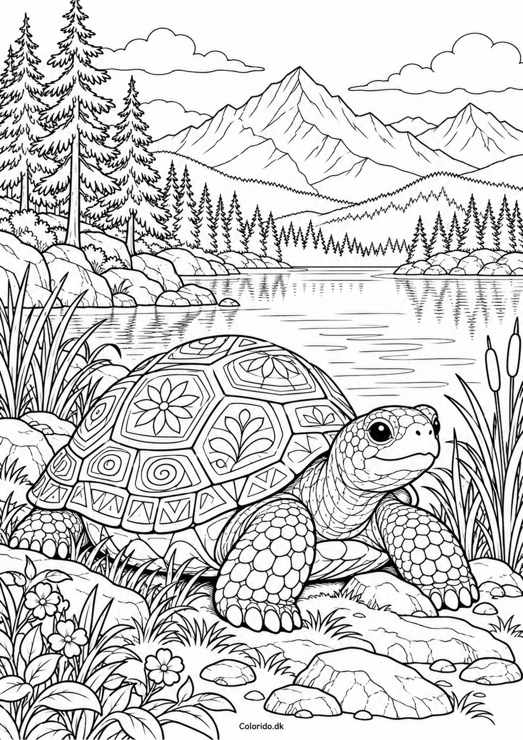 Skildpadde ved bjergsøen – gratis tegning