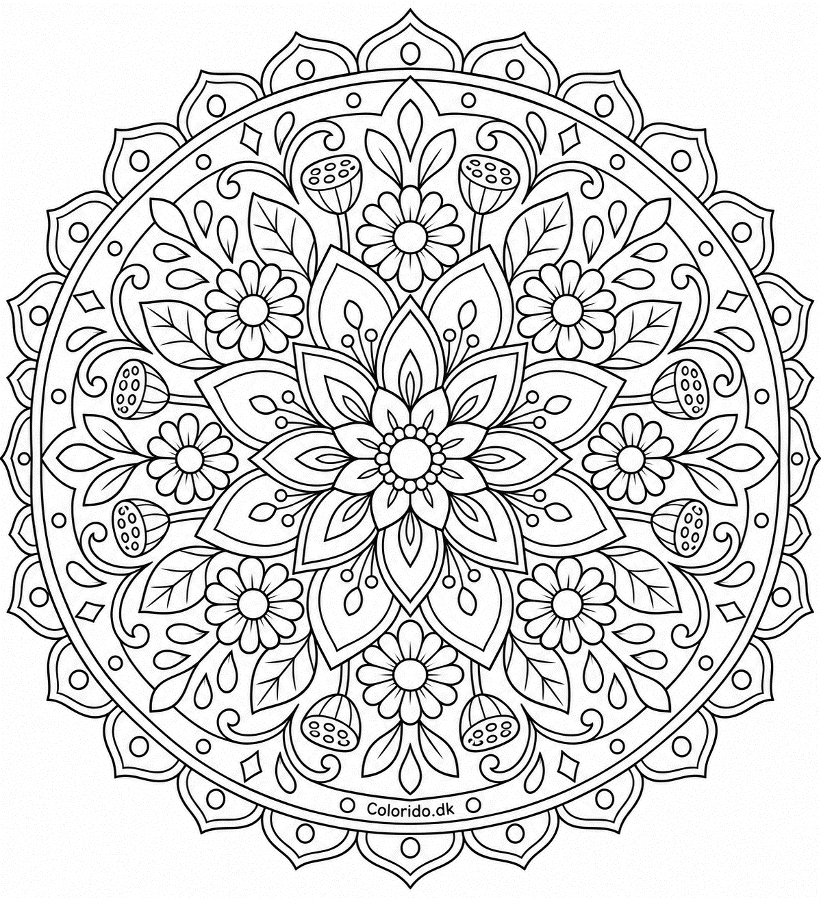 Detaljeret blomstermandala til print for større børn