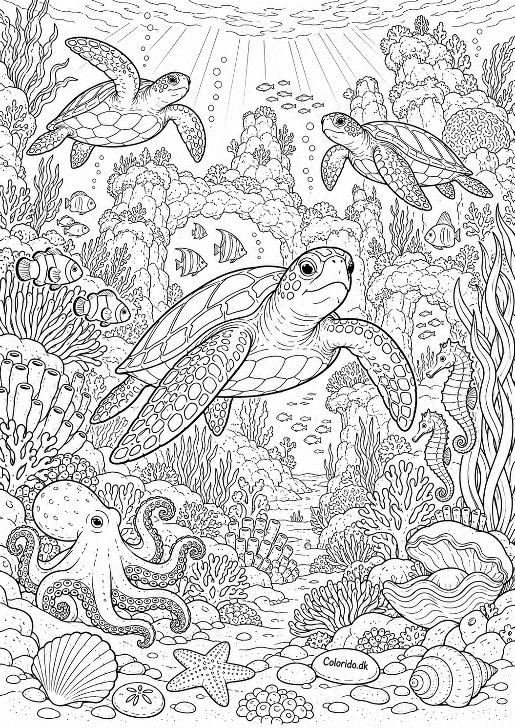 Havskildpadder i koralrevet – detaljeret tegning til print