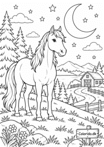 Hest under månen – gratis nattegning