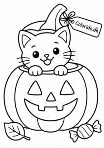 Kat i græskar – nem Halloween tegning for små børn