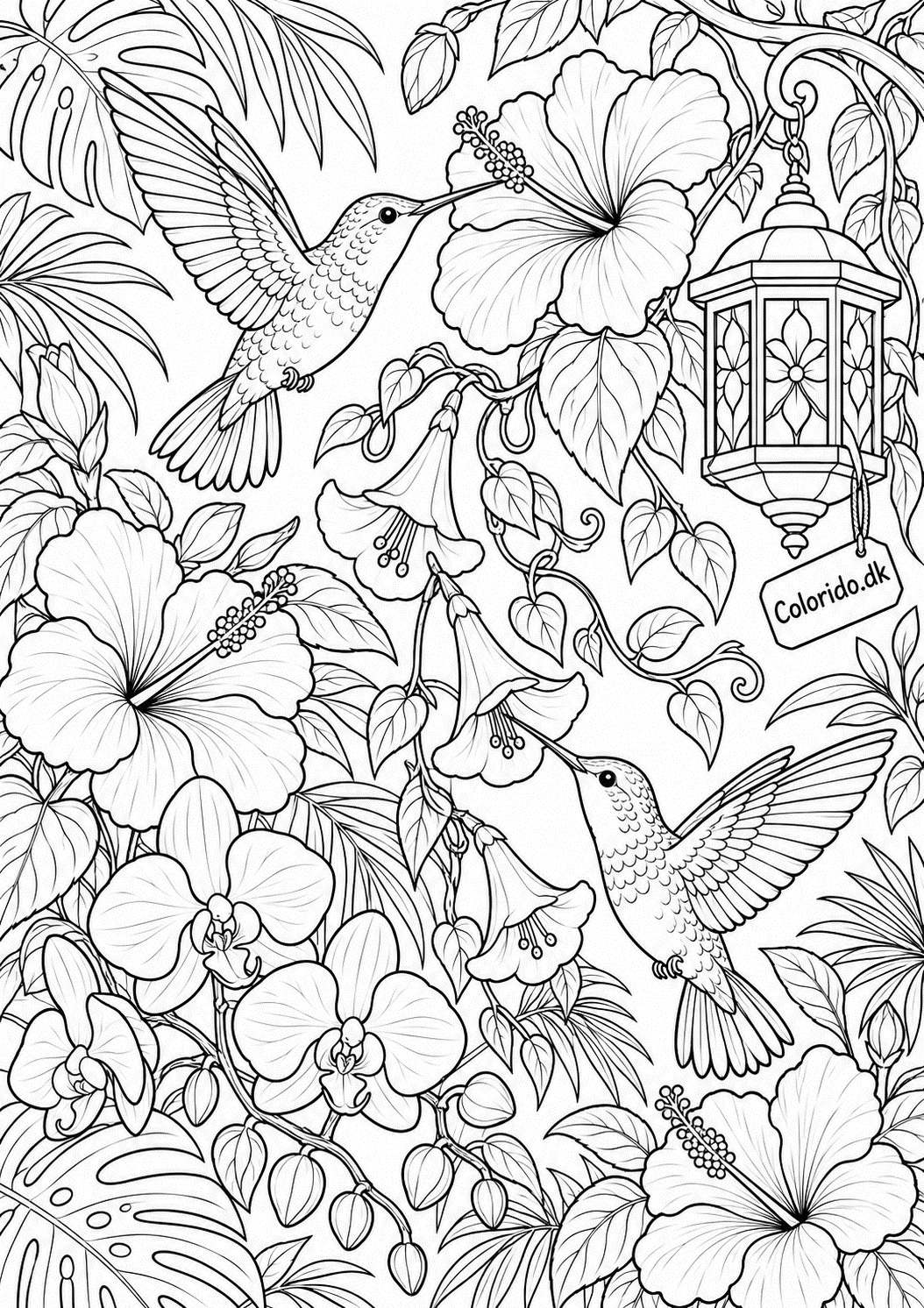 Kolibrier og tropiske blomster – detaljeret tegning til print