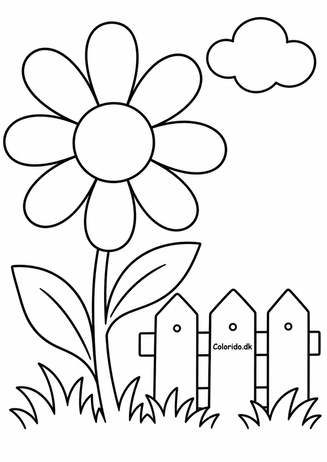 Marguerit ved havehegn – gratis tegning til print