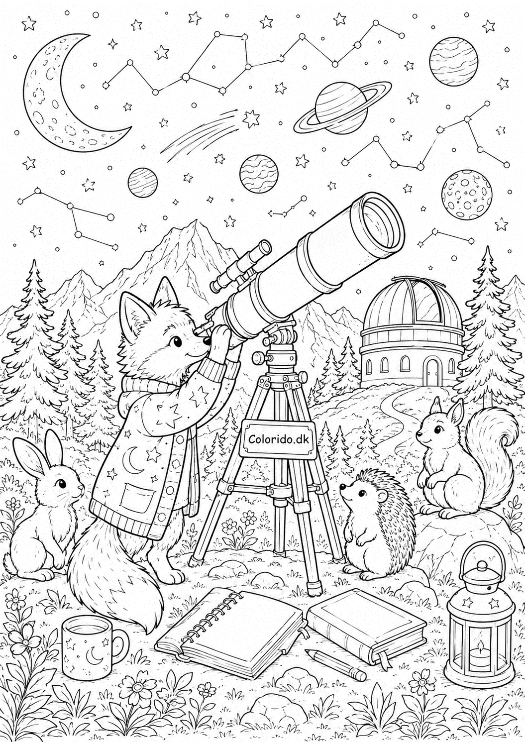 Ræv som astronom under stjernerne – tegning til print