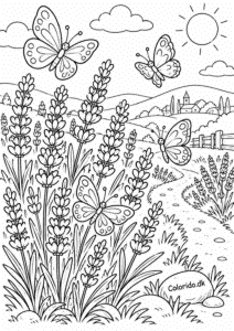 Sommerfugle i lavendelmark – gratis blomst tegning