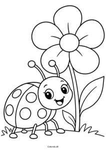 Mariehøne og stor blomst til farvelægning