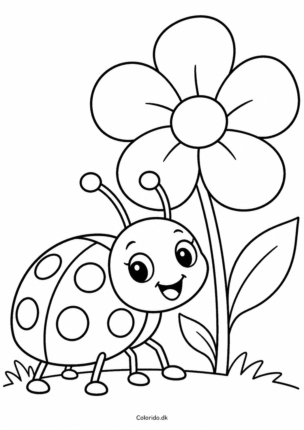 Mariehøne og stor blomst til farvelægning