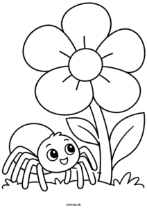 Edderkop ved en blomst – gratis tegning til print