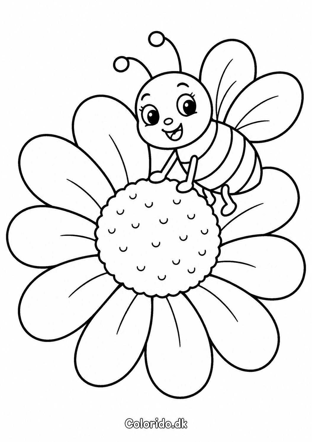 Bi på margerit – blomst og bi til print