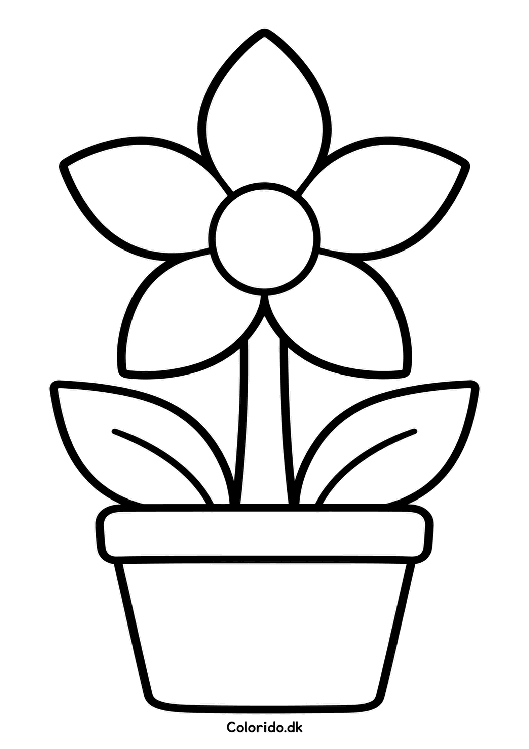 Stjerneblomst i potte – print en sød tegning