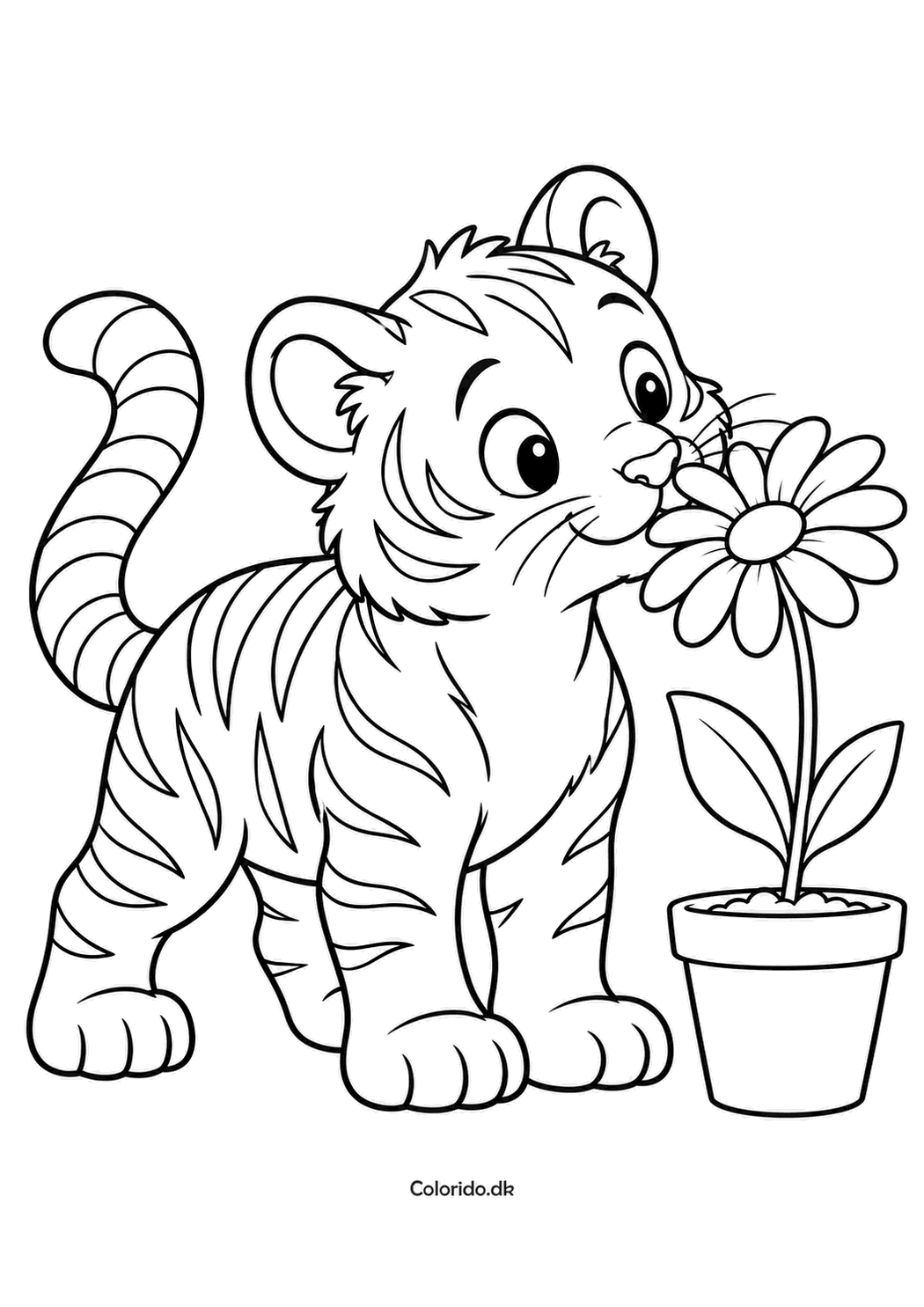 Tiger med en blomst – gratis farvelægning