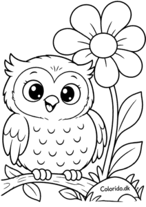 Ugle med stor blomst – gratis ugle tegning