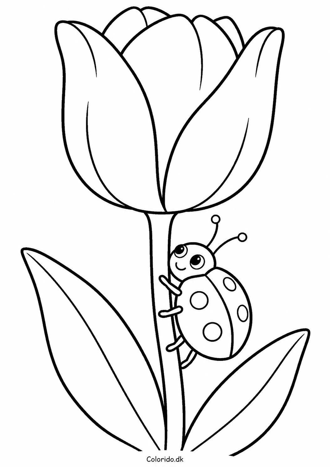 Forårstegning med mariehøne og tulipan