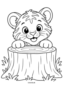 Tiger der titter frem – let tegning til 3-årige
