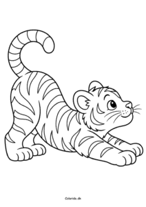 Tiger der strækker sig – let farvelægning