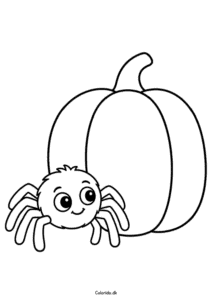Edderkop ved græskar – nem halloweentegning