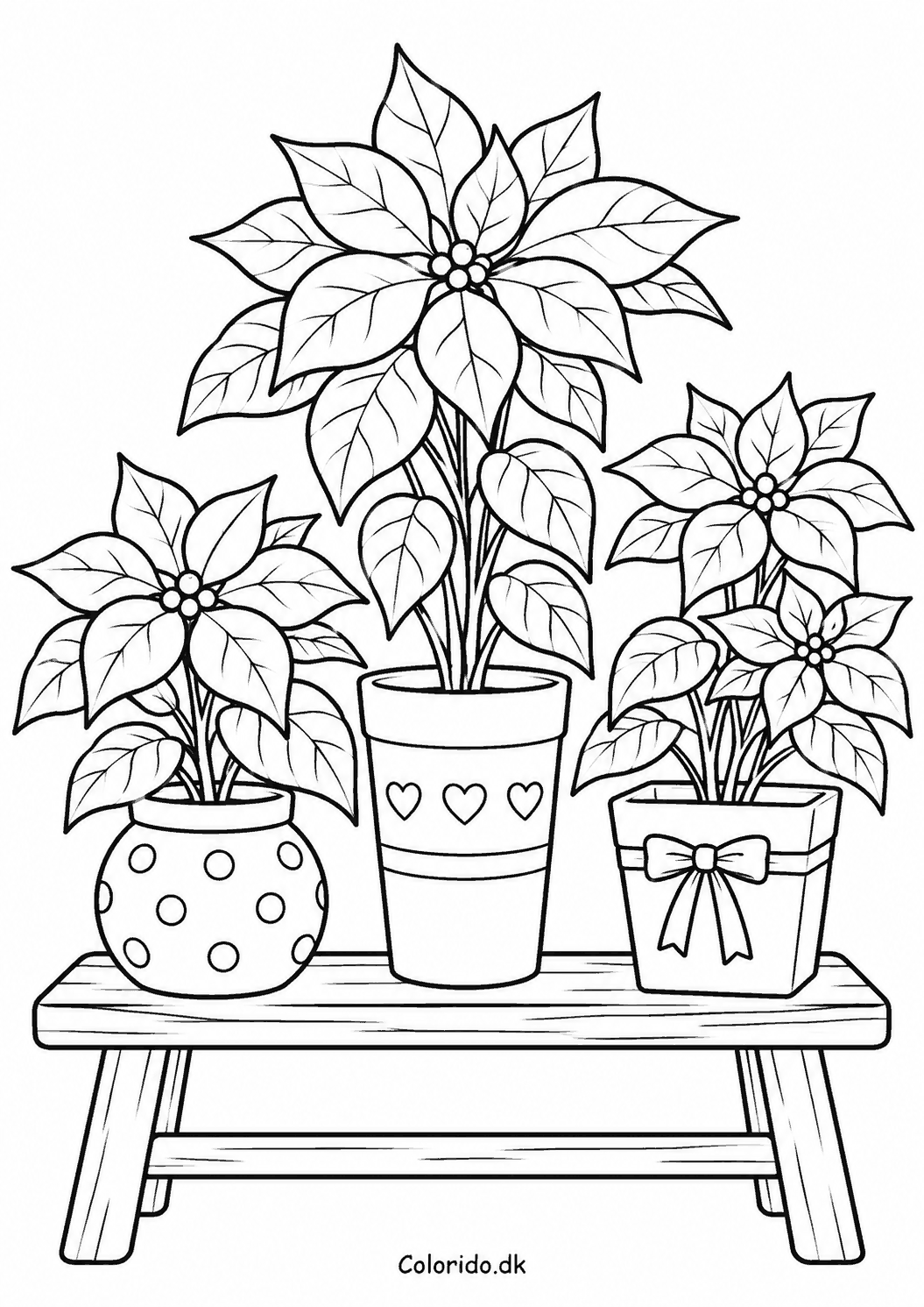 Julestjerner i tre potter – gratis tegning af blomster