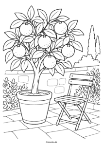 Appelsintræ i gårdhaven – tegning til print