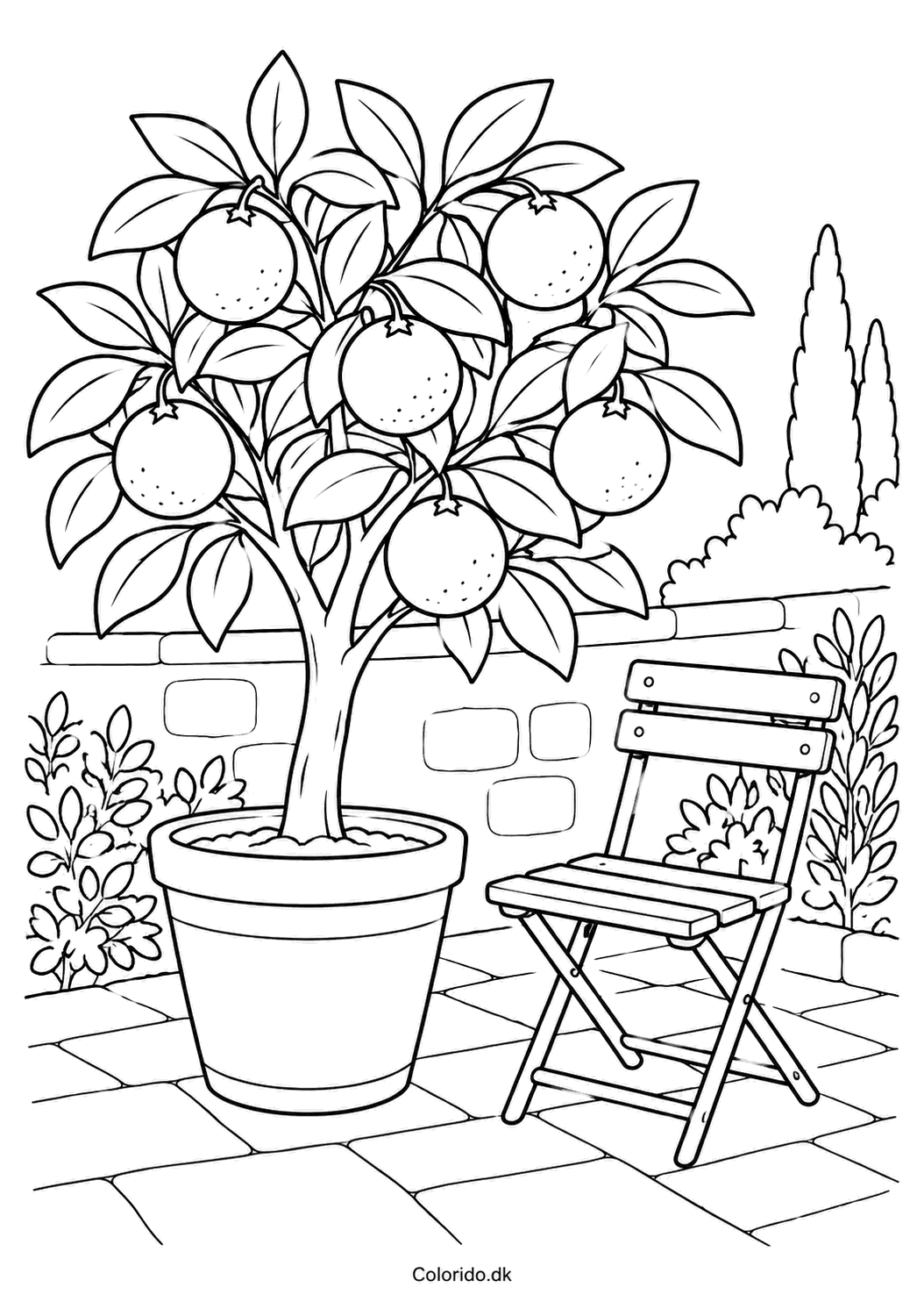 Appelsintræ i gårdhaven – tegning til print