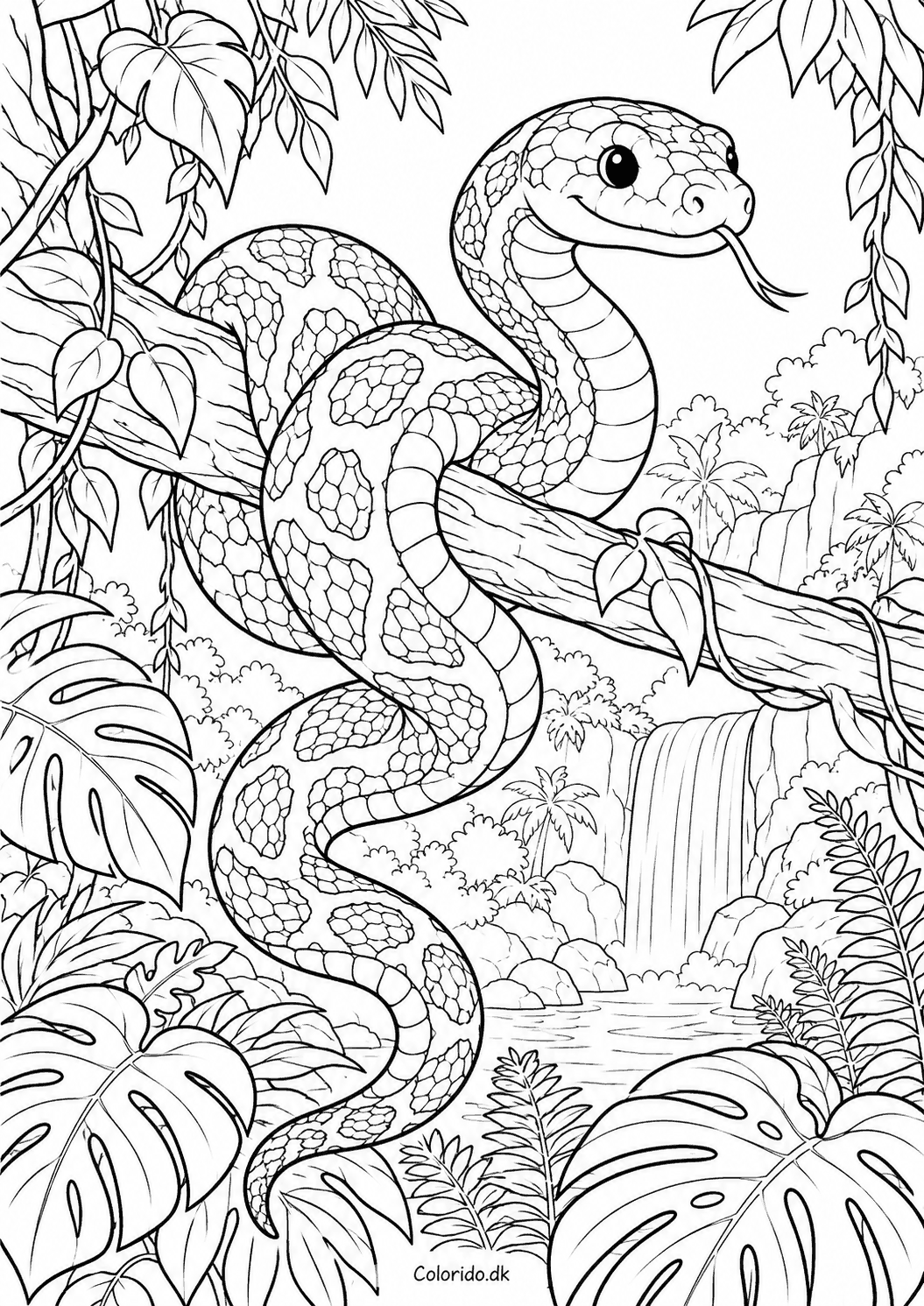Python i junglen – detaljeret tegning til farvelægning