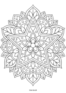 Stjernemandala med blomster – detaljeret farvelægning