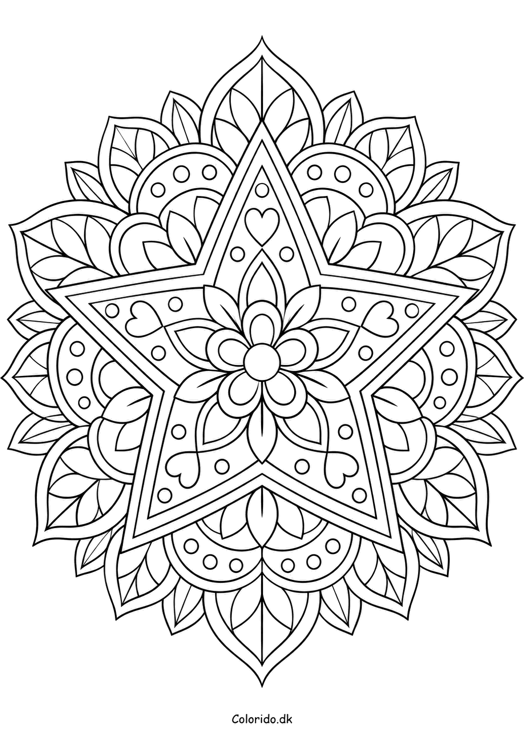 Stjernemandala med blomster – detaljeret farvelægning