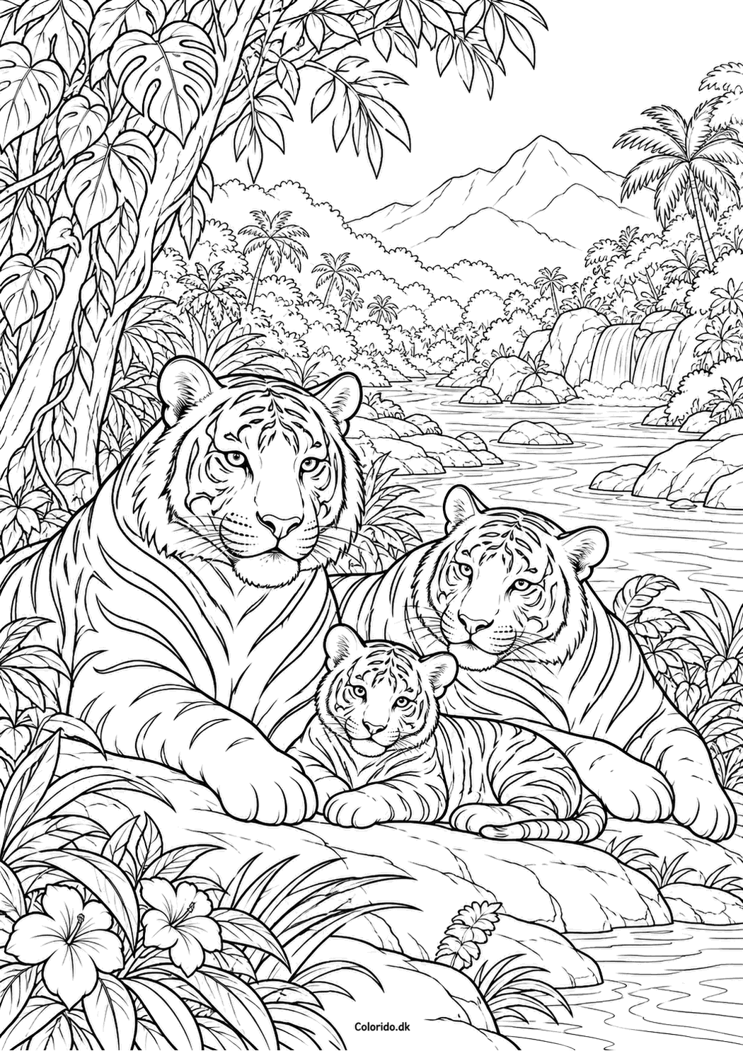 Tigerfamilie ved floden – farvelægning til 7-årige