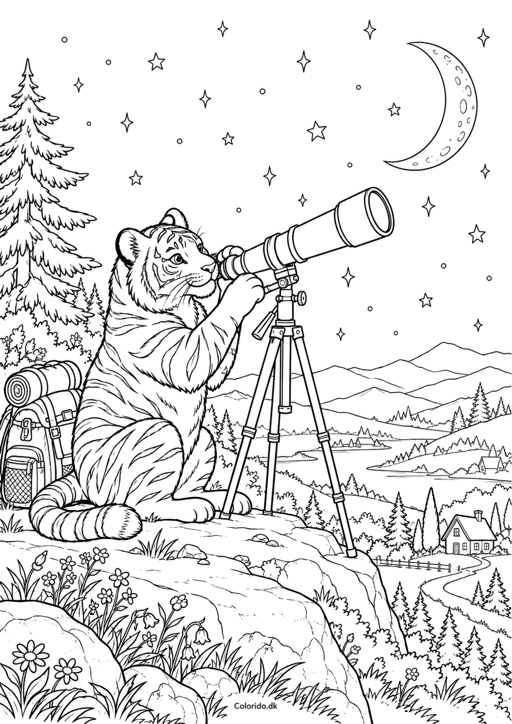 Tiger ved stjernekikkert – nattegning til print